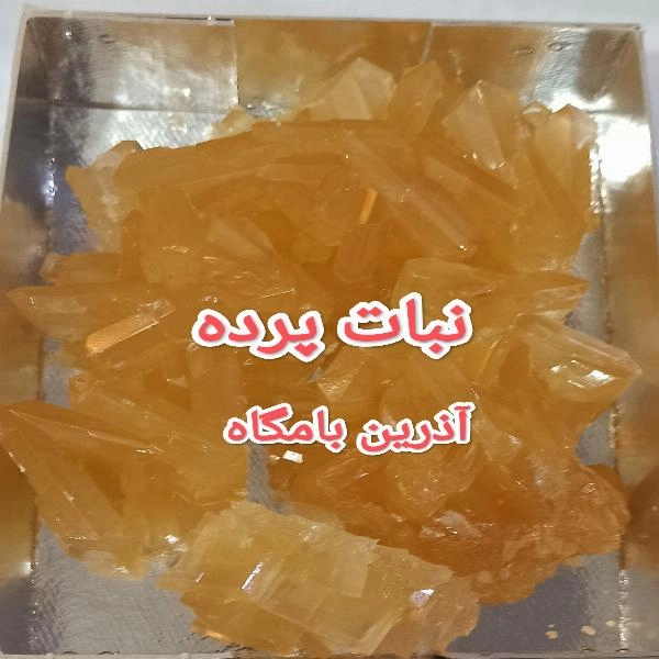 نبات پرده 2کیلویی اعلا